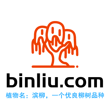 binliu.com