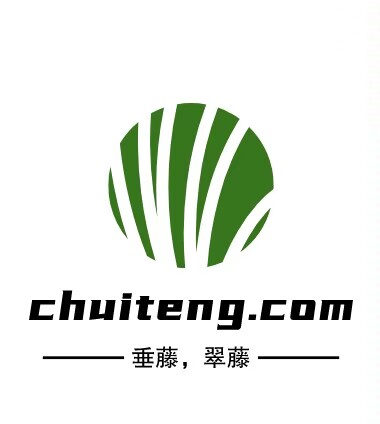 chuiteng.com